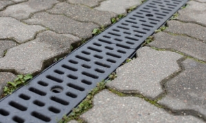 Drain Grates